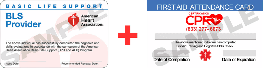 CPR and First Aid class training image